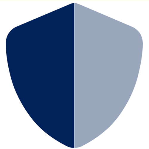 smash and grab tinting icon